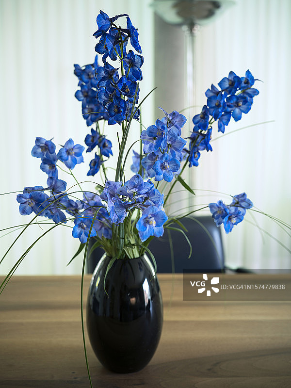 花瓶里的翠雀花图片素材