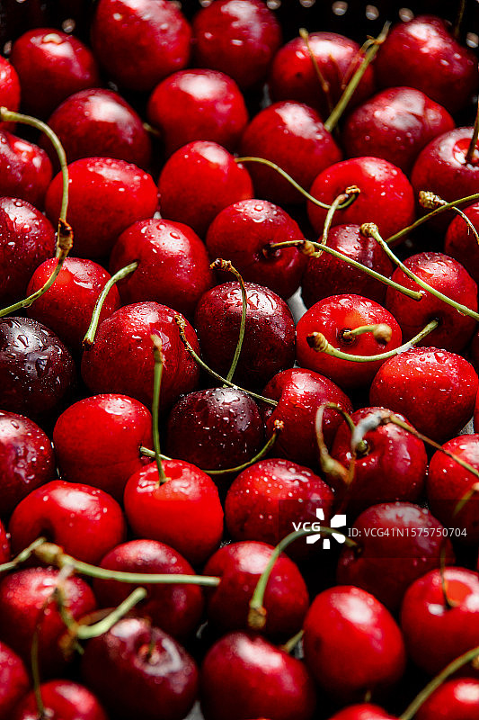 红色樱桃背景图片素材