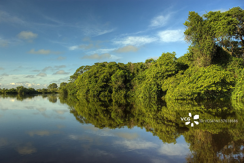 巴西潘塔纳尔湿地图片素材