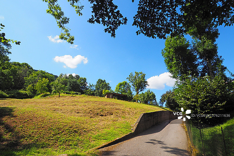 通往翠绿春天的乡村公路图片素材