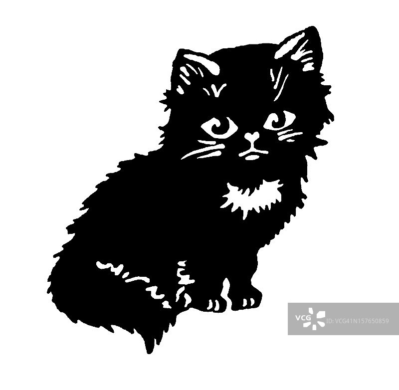 黑色的猫图片素材