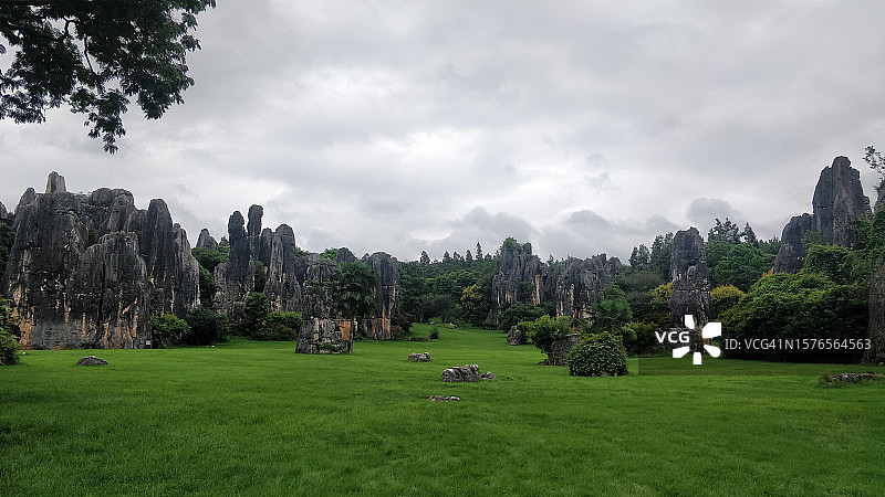 田野上的树木全景图片素材