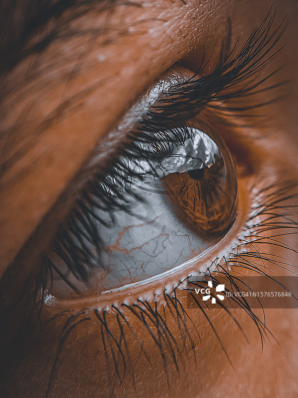 眼睛特写图片素材