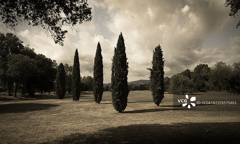 意大利塔沃拉卡欣地区田野树木全景照片图片素材