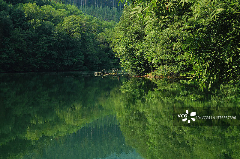西班牙比斯开森林湖泊风光图片素材