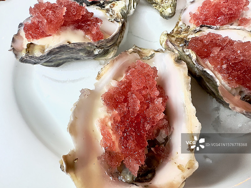 新鲜剥壳的生蚝图片素材