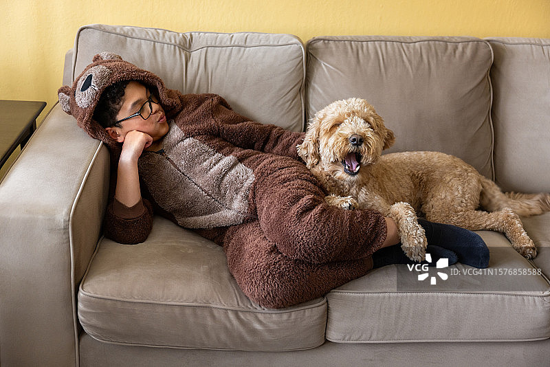 男孩身穿熊套装和金毛犬图片素材