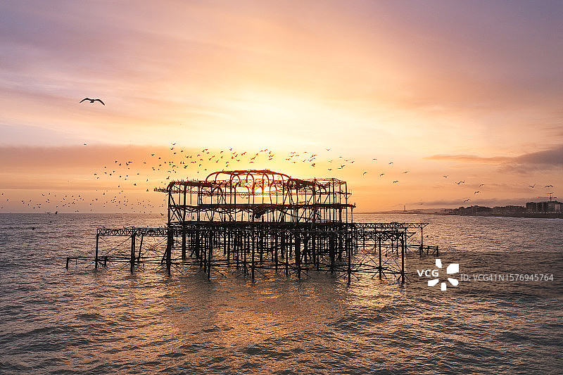 旧码头上的鸟图片素材