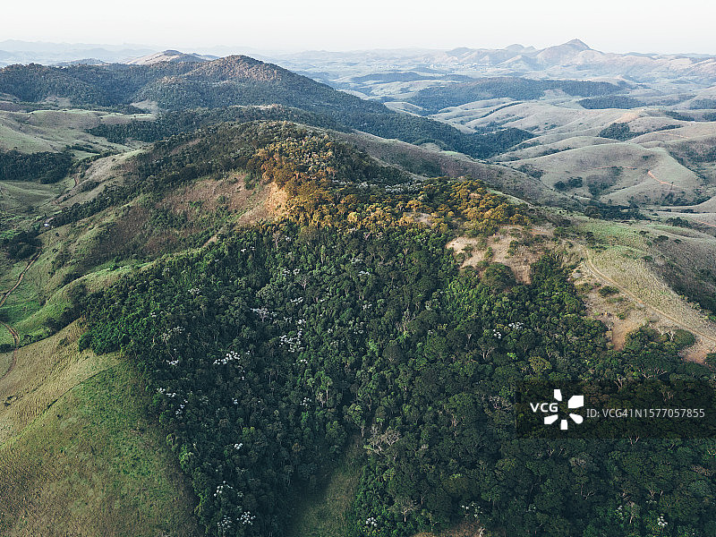 山丘牧场之间的森林保护区景色图片素材