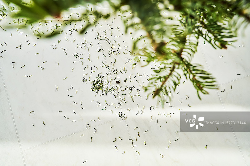 从圣诞树上掉落的松针图片素材