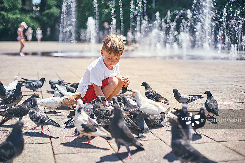 男孩在广场上喂鸟图片素材