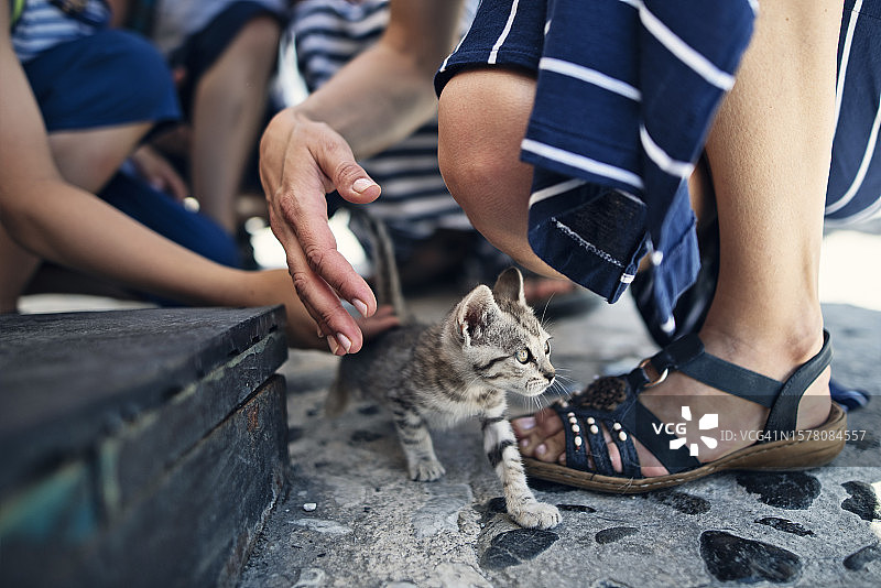 游客一家在西班牙小镇 встретить 与一只小街猫相遇并爱抚图片素材