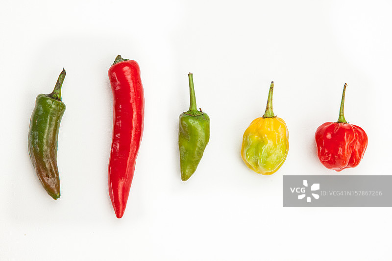 一排排辛辣的辣椒图片素材