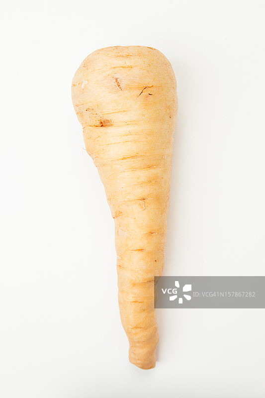 欧洲防风图片素材