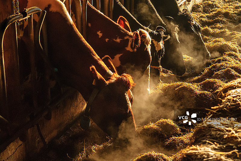 男人在车间工作的特写，荷兰乌得勒支泽格费尔德图片素材