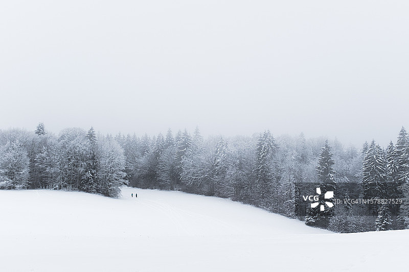 法国蓬塔利耶的雪地树木风光图片素材