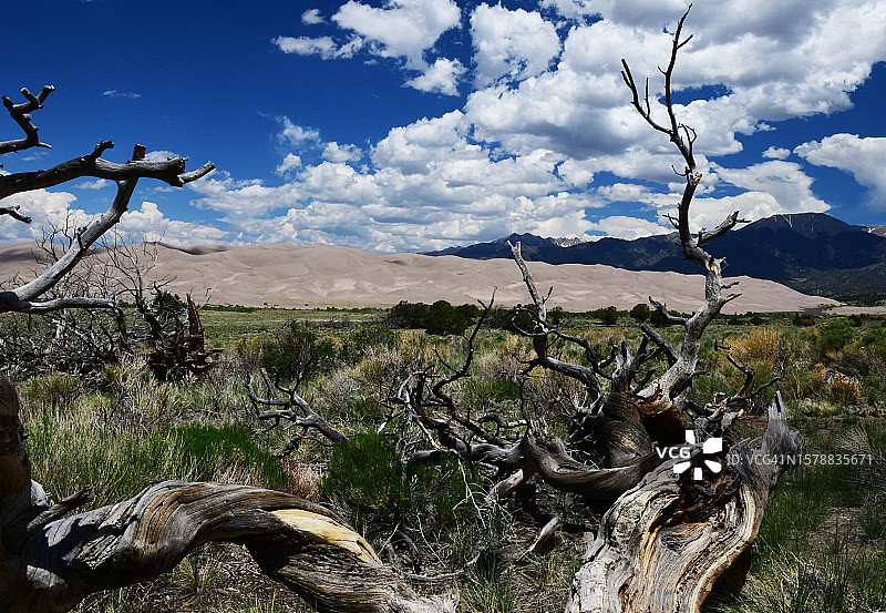 壮丽沙丘景观，美国科罗拉多州图片素材
