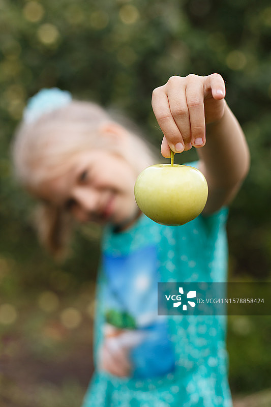 手捧新鲜成熟黄苹果的可爱女孩图片素材