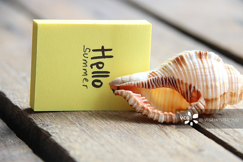 书本和贝壳特写图片素材