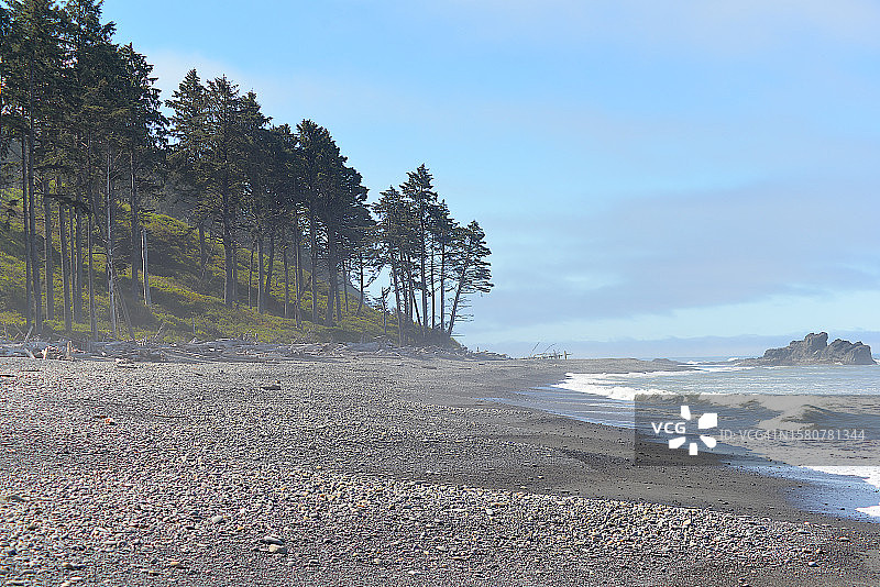 奥林匹克国家公园红宝石海滩，华盛顿州图片素材