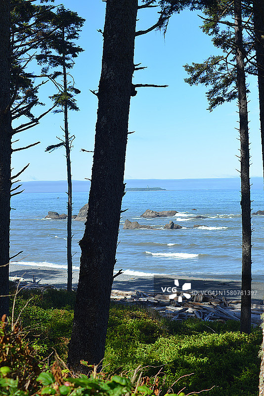 奥林匹克国家公园红宝石海滩，华盛顿州图片素材