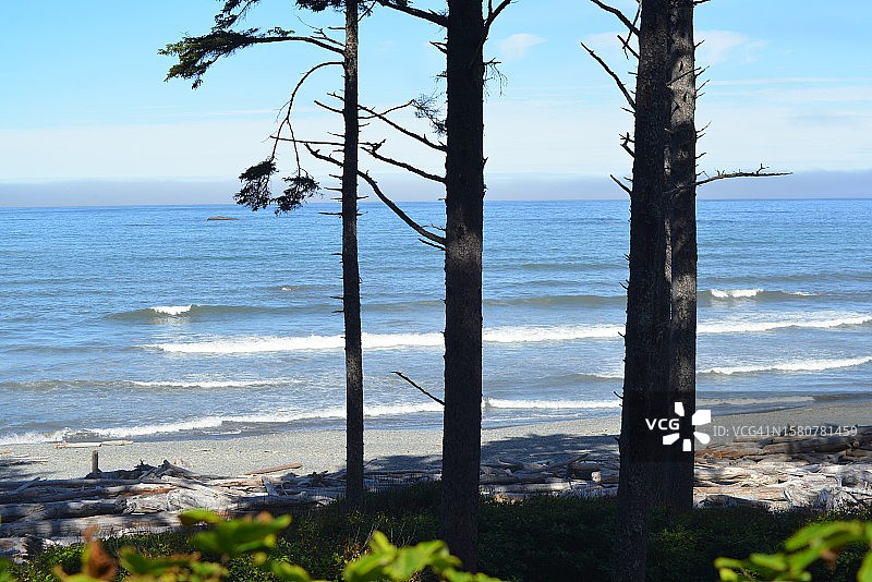 奥林匹克国家公园红宝石海滩，华盛顿州图片素材