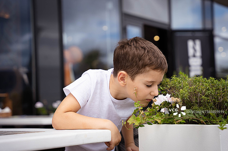 男孩闻花的香味图片素材