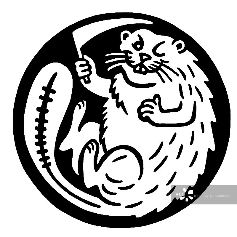 带镰刀的海狸图片素材