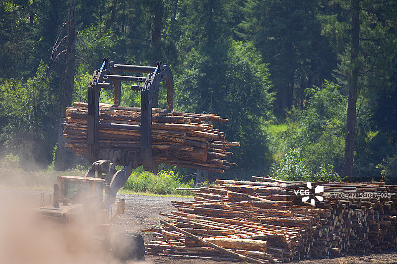 伐木作业图片素材