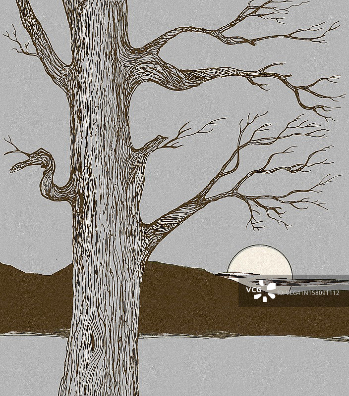 日落的景色图片素材