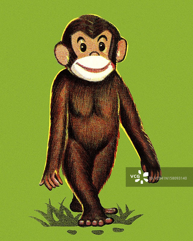 站立的猴子图片素材