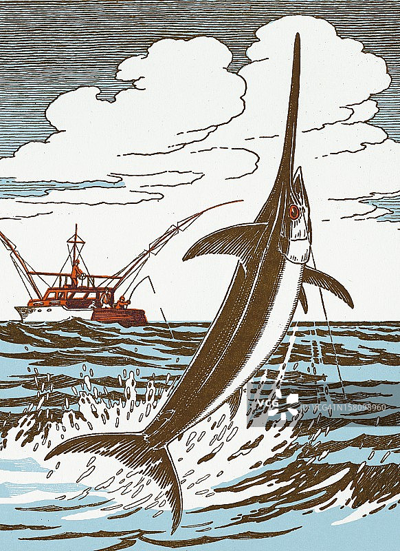 剑鱼跳跃图片素材