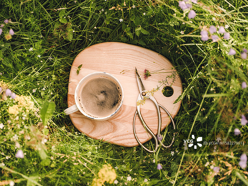 咖啡杯与花剪，在夏季的草地和野花中图片素材