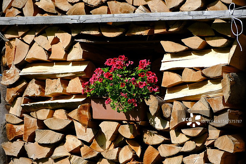 花盆木架图片素材