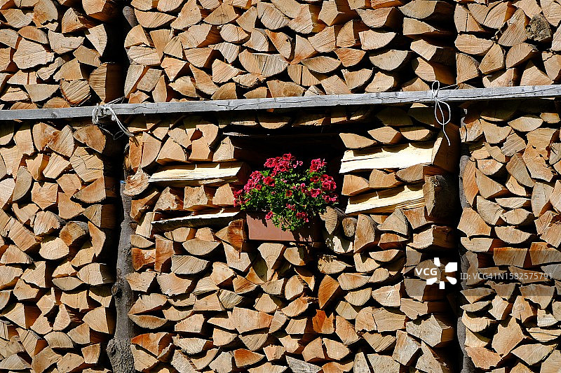 花盆木架图片素材