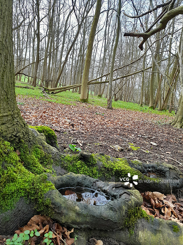 从埃夫伯里到艾尔斯伯里的英国 Ridgeway 步行道图片素材