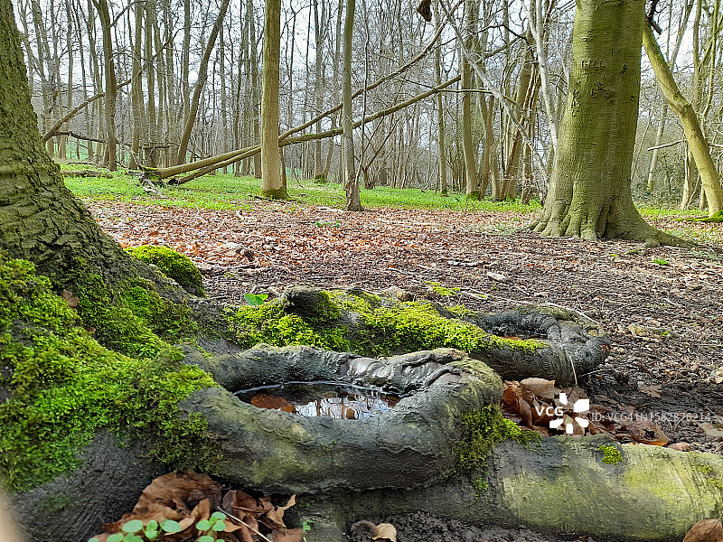 从埃夫伯里到艾尔斯伯里的英国 Ridgeway 步行道图片素材