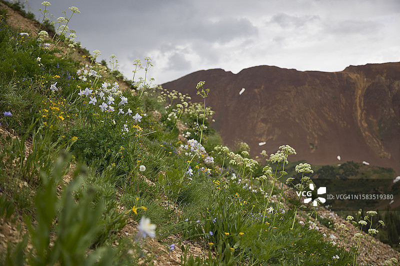 自然风光与瀑布图片素材