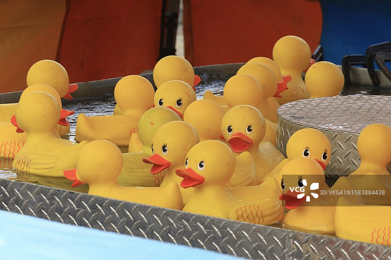 嘉年华游戏中水池里的玩具鸭图片素材