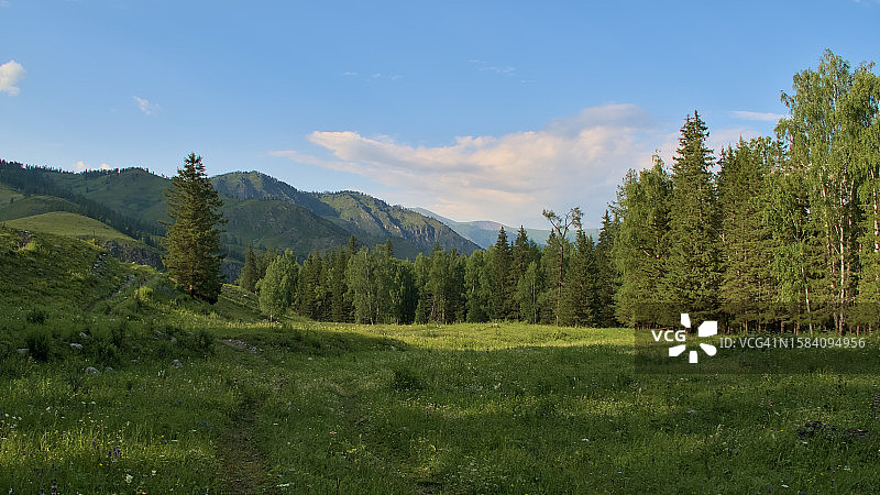 天空映衬下田野树木的美景图片素材
