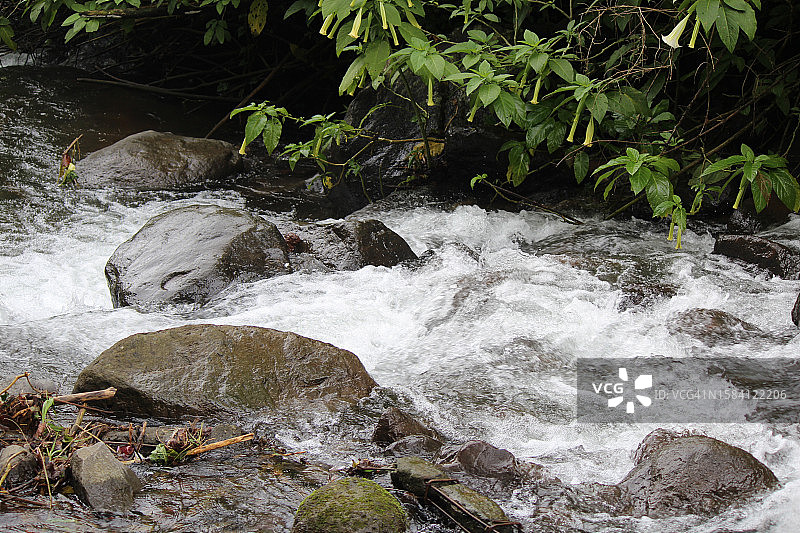 森林中瀑布的俯视图图片素材