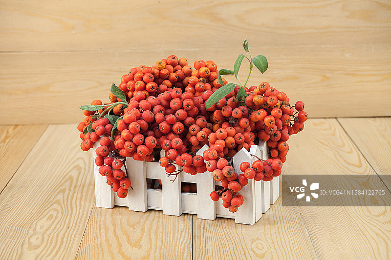 桌子上的浆果俯视图图片素材