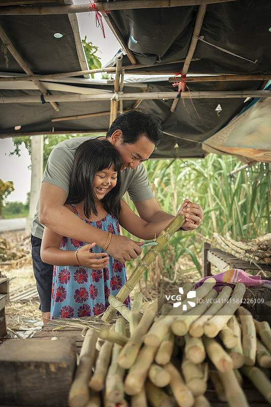 父女削甘蔗榨汁，学习或放松，健康生活或教育理念图片素材