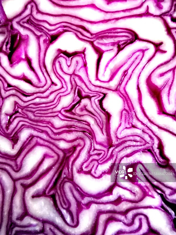 紫色卷心菜抽象背景图片素材