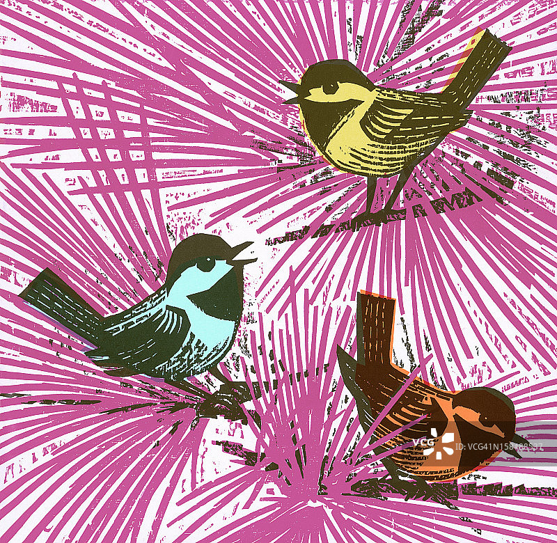 树上的彩色鸟类图片素材