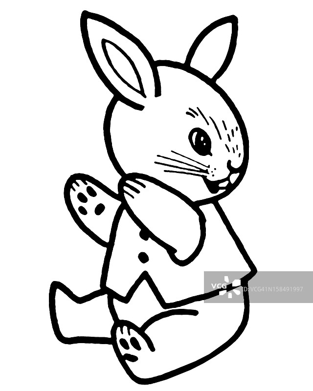 兔子回头看图片素材