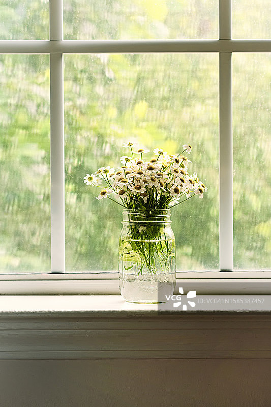 窗台上梅森罐中的雏菊图片素材