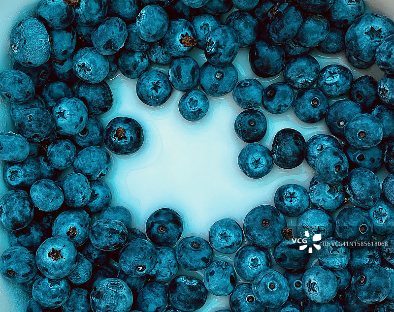 新鲜洗净的蓝莓图片素材