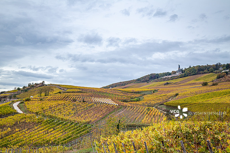 吕德斯海姆葡萄酒产区图片素材