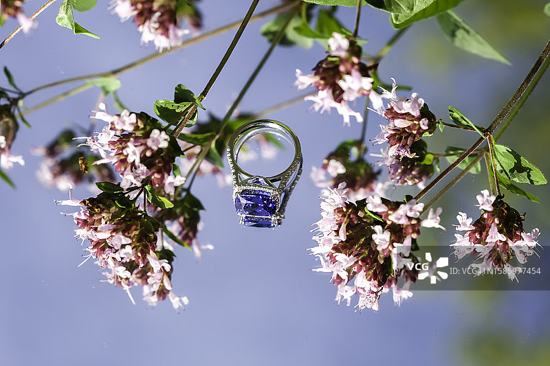 坦桑石戒指和草本花卉图片素材